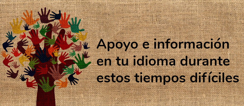 COVID-19 Apoyo e Información para la comunidad de Charlottesville