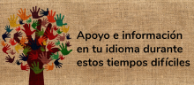 COVID-19 Apoyo e Información para la comunidad de Charlottesville
